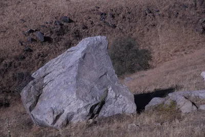 DSC_2178 (Large).JPG